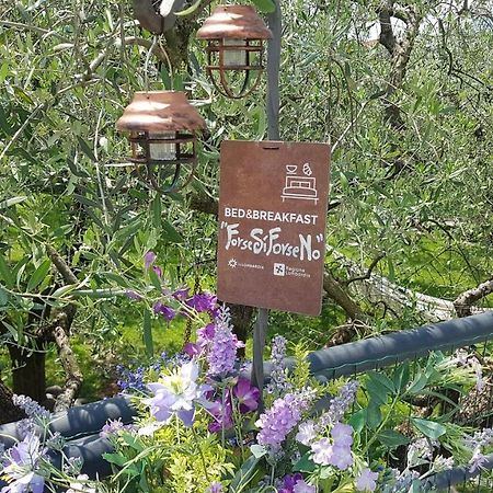 B&B Forsesiforseno スルツァーノ エクステリア 写真